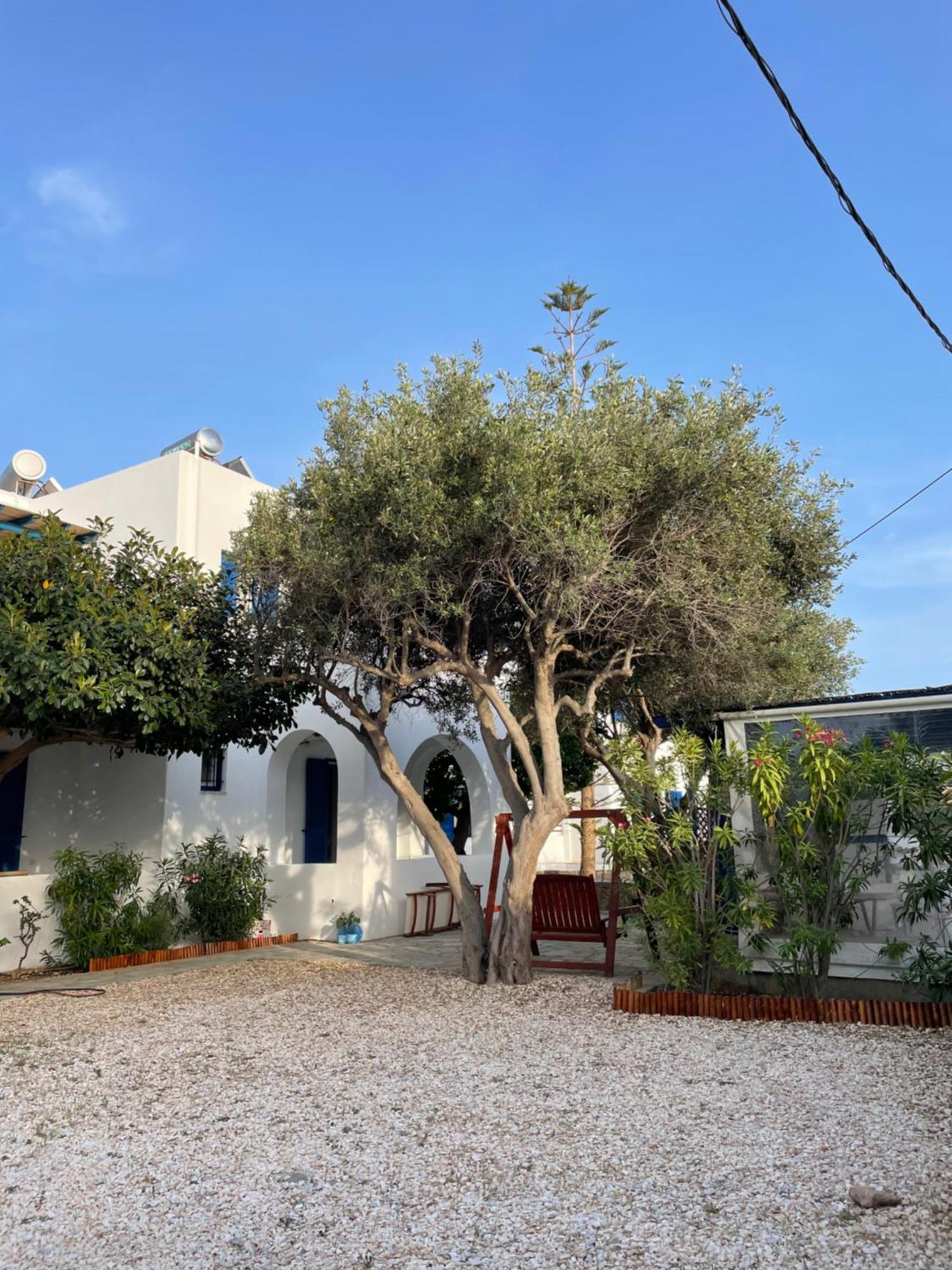 Villa Gelly'S Studios Aliki  Exterior photo